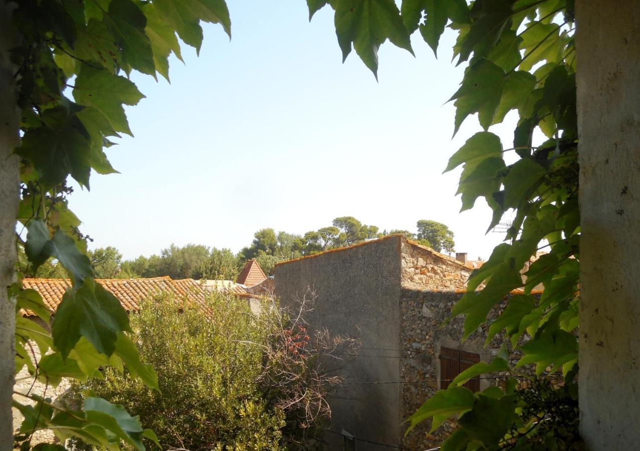 Logis De La Meschaussee, Dans Donjon Du Xie Siecle Canet  Exterior foto