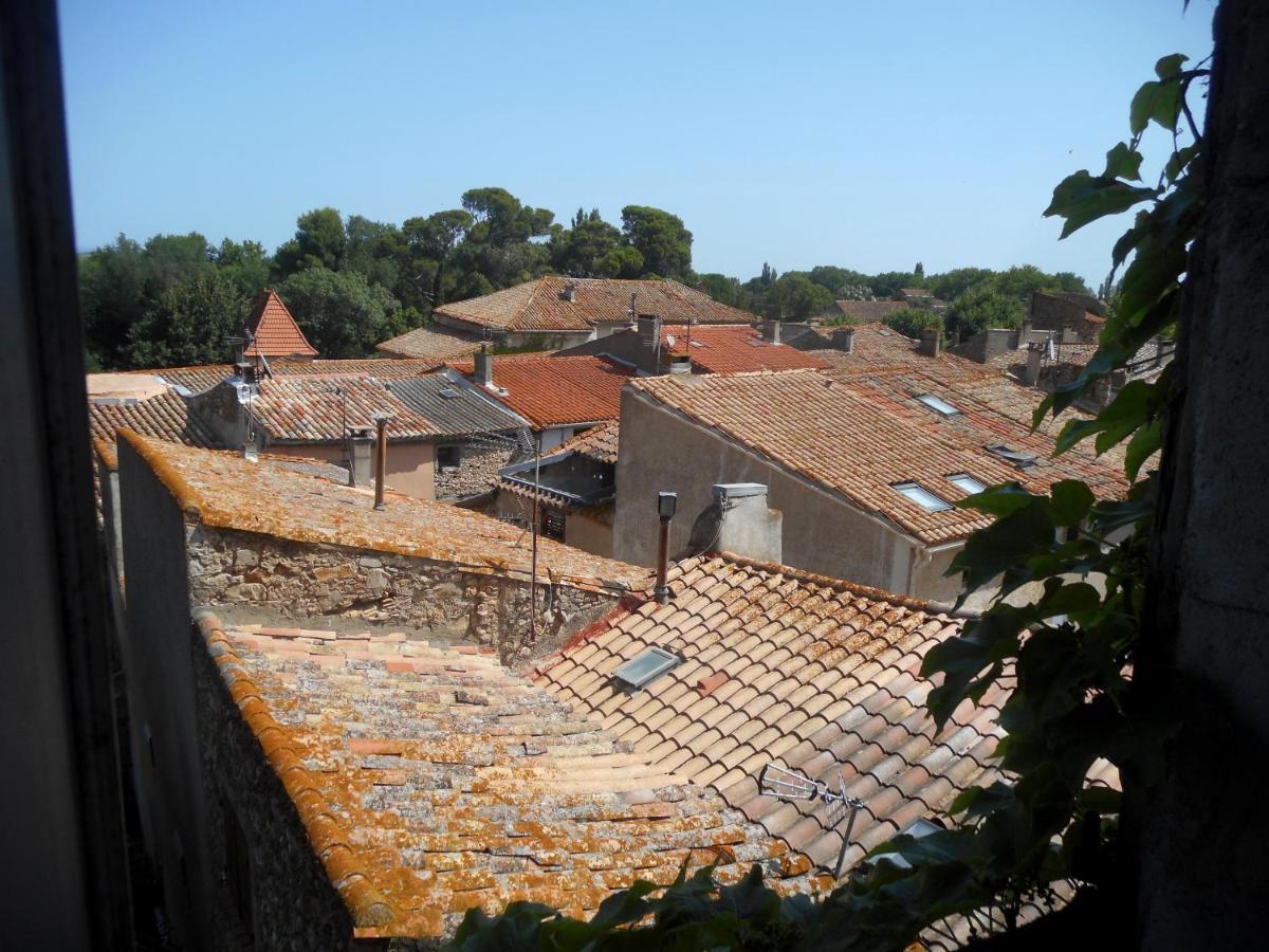 Logis De La Meschaussee, Dans Donjon Du Xie Siecle Canet  Exterior foto